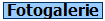 Fotogalerie